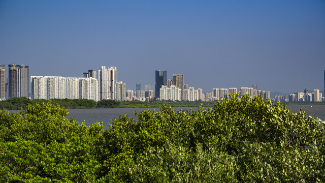 深圳湾海面遥望现代建筑