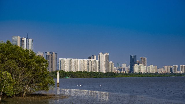 深圳湾海面遥望现代建筑