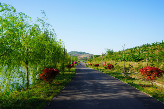 山中的路