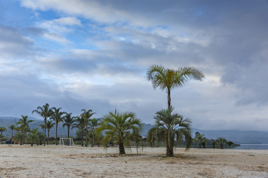抚仙湖月亮湾沙滩棕榈树与白云