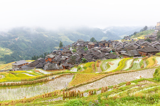 水墨梯田