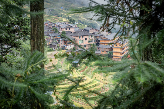 加榜梯田