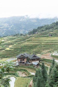 加榜梯田