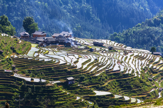 贵州加榜梯田