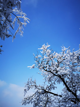 雪景