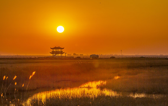 鄱湖湿地