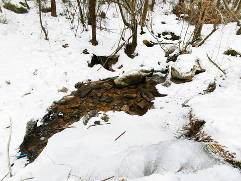 雪中的小溪