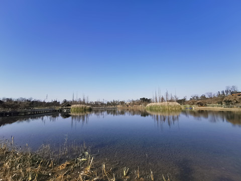 成都白鹭湾湿地公园