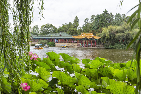 荷叶池塘与古建筑自然景观