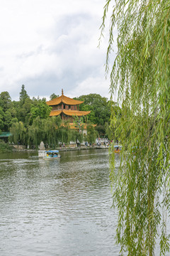 古建筑大观楼池塘与柳树自然景观