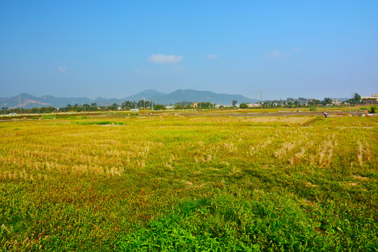 田野风光