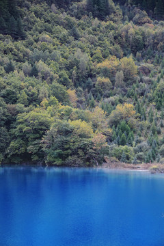 蓝色湖泊九寨沟风景