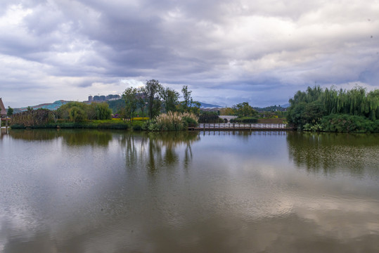 色彩斑斓湿地