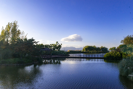 色彩斑斓的湿地