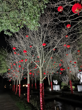 小灯笼夜景