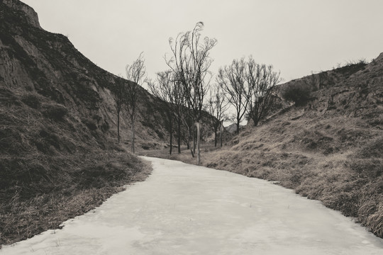 田野小景