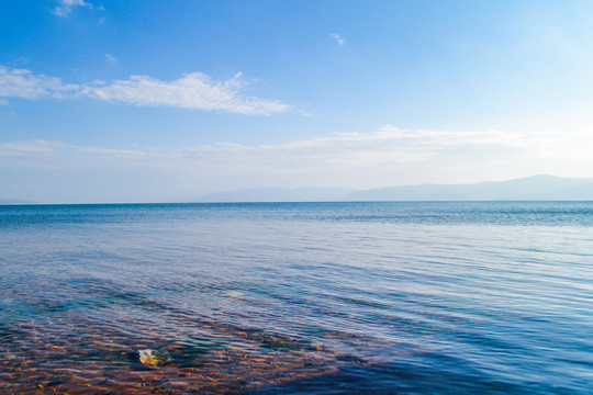 大美青海湖