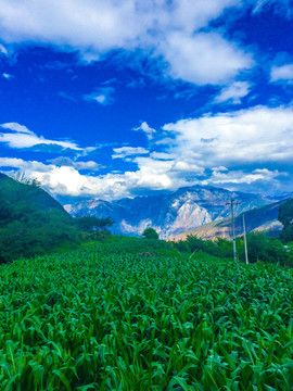 云南哈巴雪山风景区