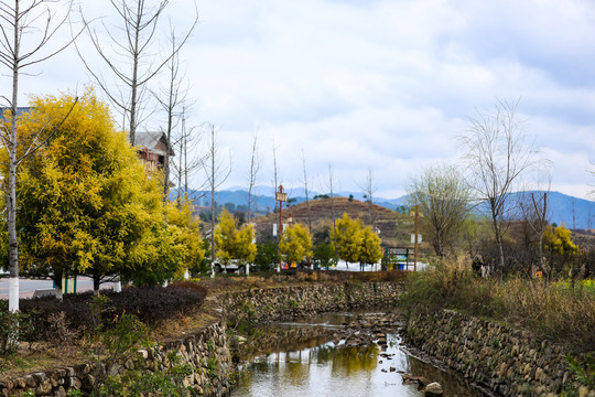 韶关珠玑镇灵潭村风景