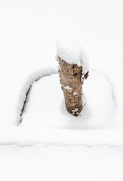 雪后小景