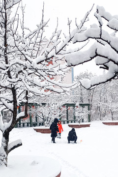 雪后小景