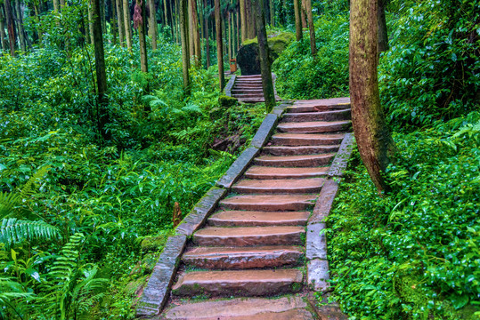 中国四川成都青城山山路