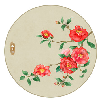 紅山茶花