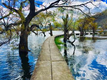 水上栈道