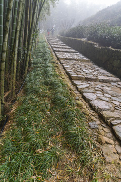 杭州径山寺古道