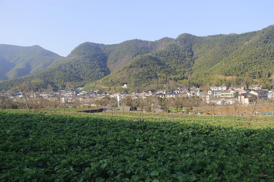 山村春色