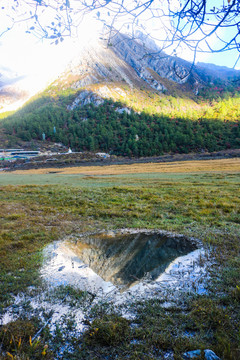 纯净高原