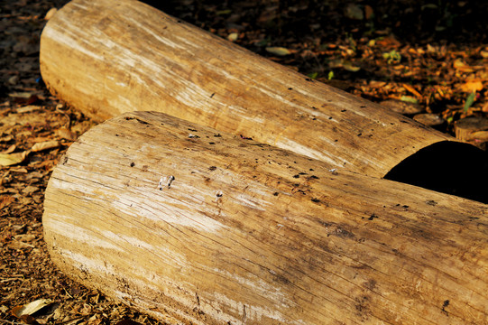木头木桩