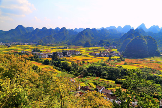 万峰林田园风光