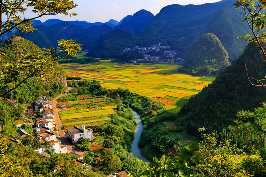 万峰林田园秋色