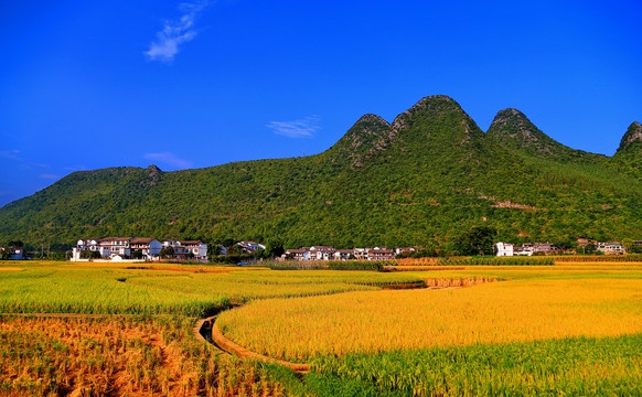 万峰林田园风光