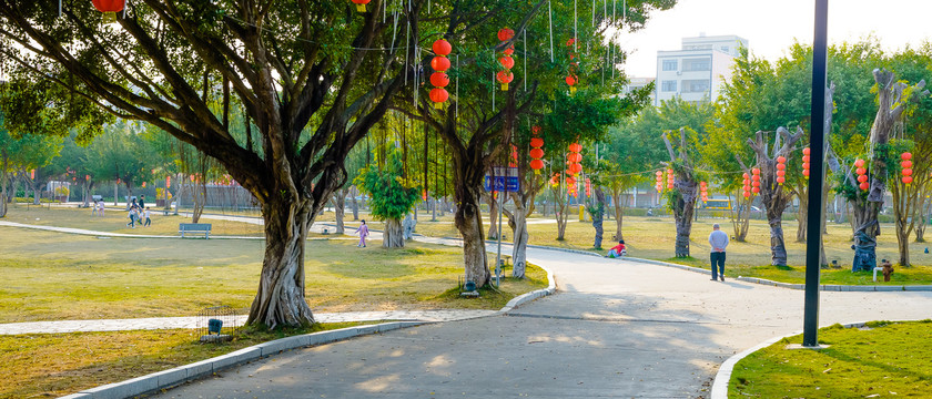 园林小景