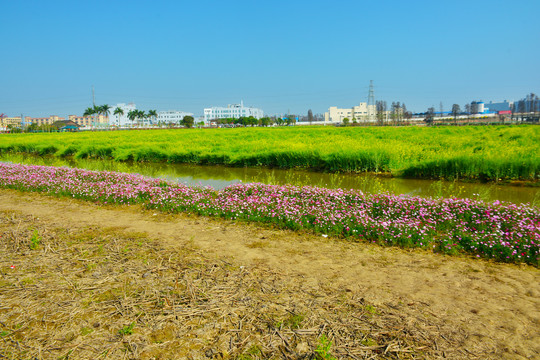 农业生态公园风景