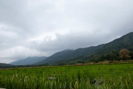 山峰森林天空