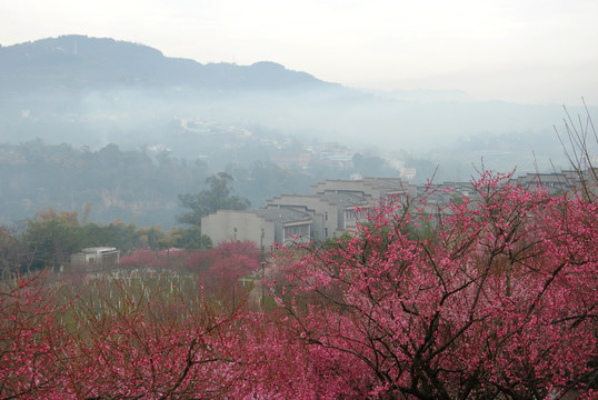 万州太白岩公园