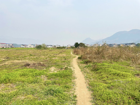 田间小路