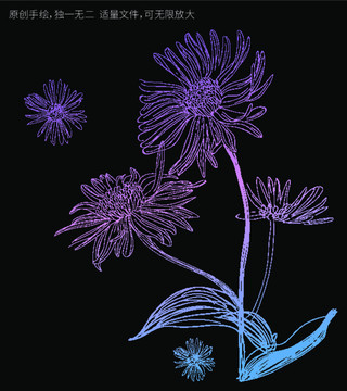 線稿菊花