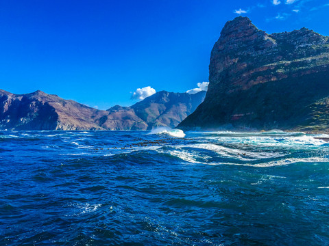 南非海豹岛