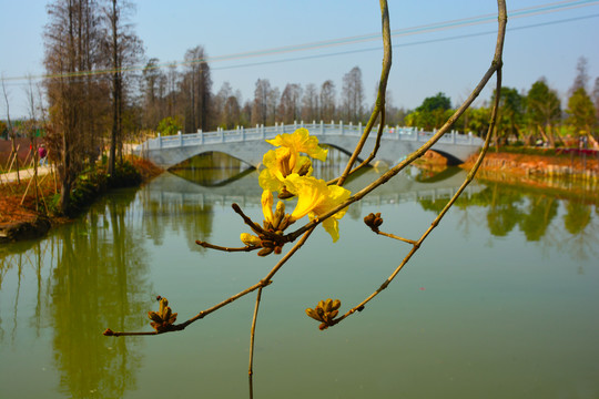 江景