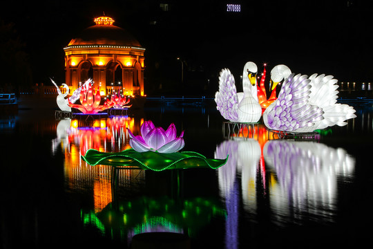 春节花灯展水上莲花仙鹤