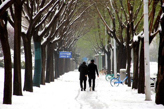 踏雪出行