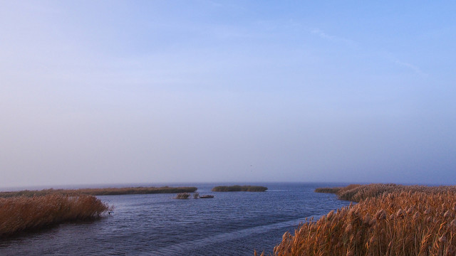 居延海