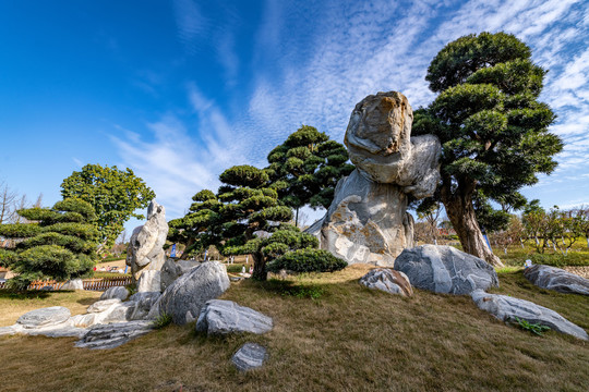 成都露天音乐公园假山