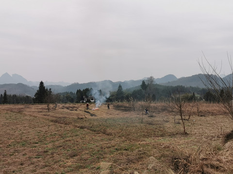 田野