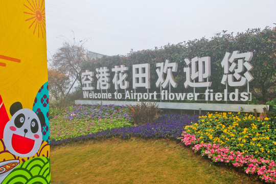 四川成都双流区空港花田