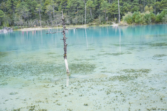 蓝色湖水